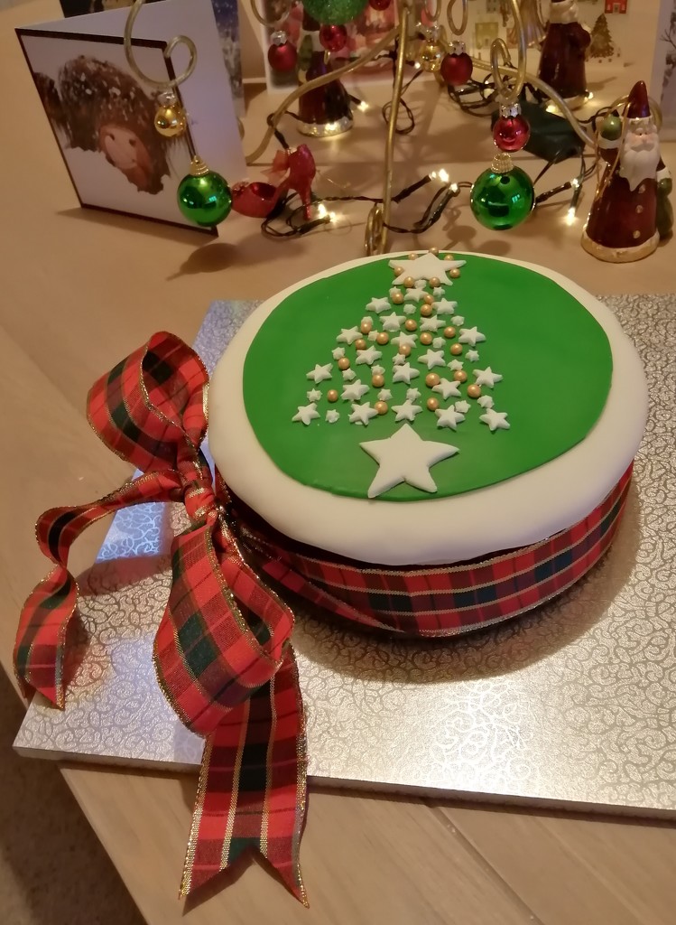 Christmas cake by flowerfairyann