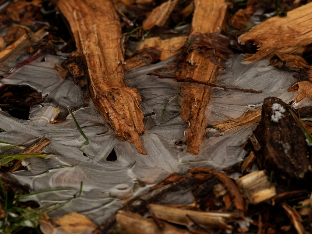 ice and wood chips by rminer