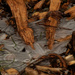 ice and wood chips by rminer