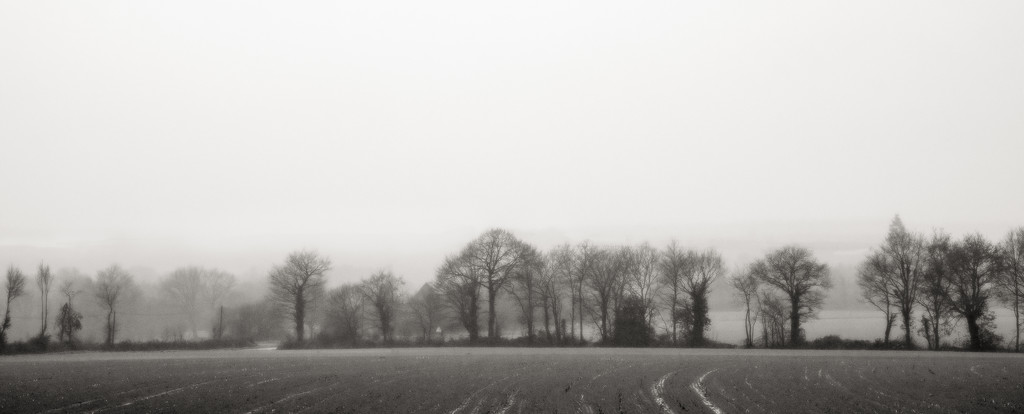 Misty Horizon by vignouse