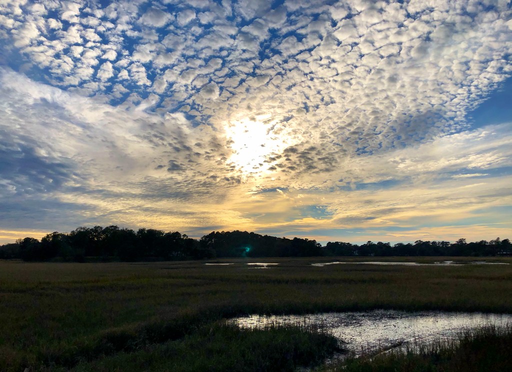 Marsh sky and clouds by congaree