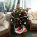 Christmas Tree  by g3xbm