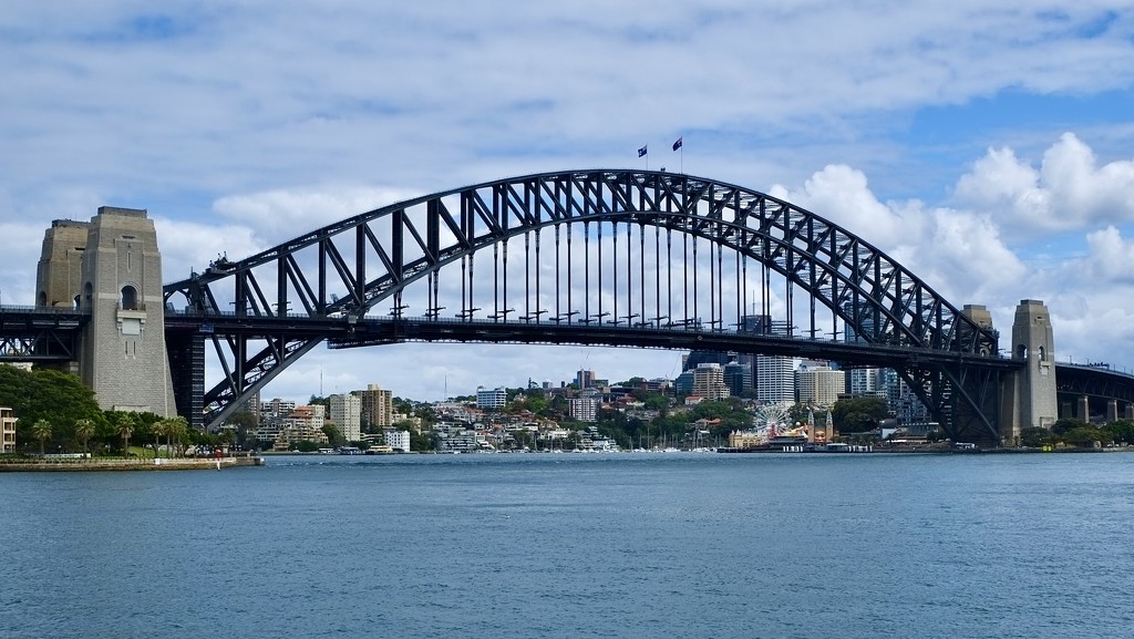 Sydney Harbour Bridge from Sydney Royal Botanical gardens.  by johnfalconer