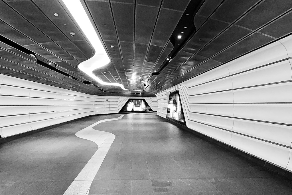 COVID 19 effect on Sydney’s busy Wynyard Station tunnel.  by johnfalconer