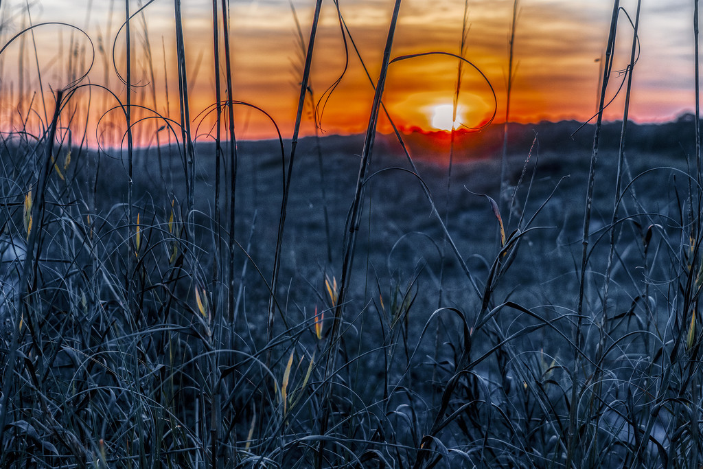 Seagrass Sunset by k9photo