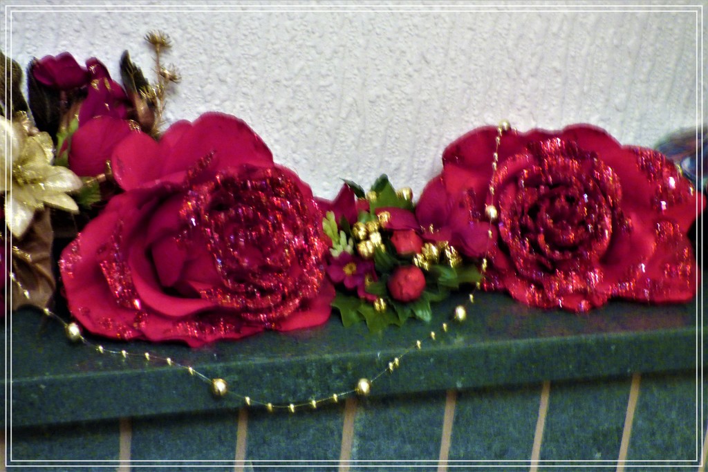 Christmas Roses by beryl