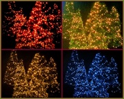 15th Dec 2020 -  Ever Changing Colour Christmas Tree ~ 
