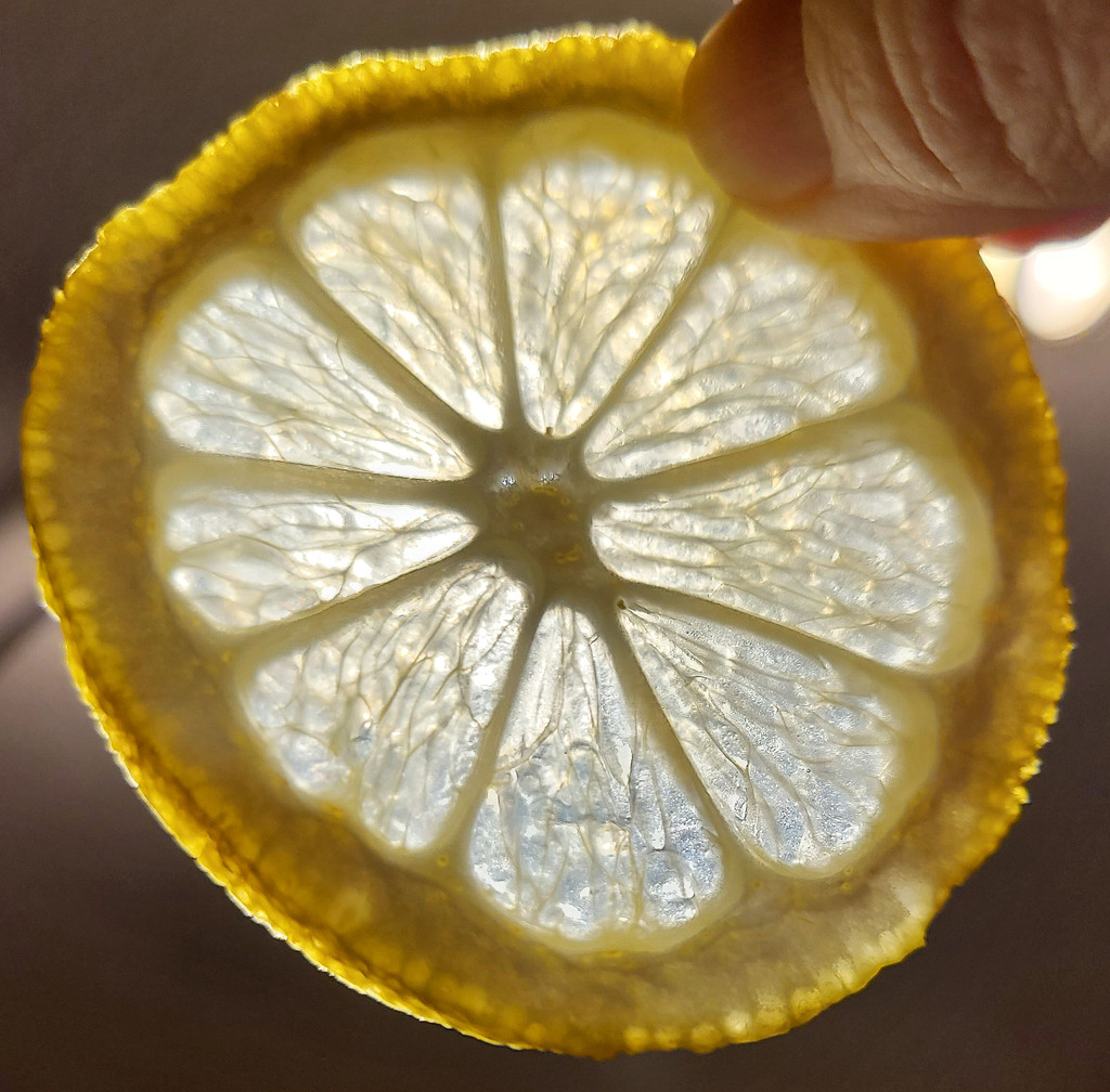 When life gives you lemons... by tanda