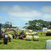 Busy day on the Farm by julzmaioro