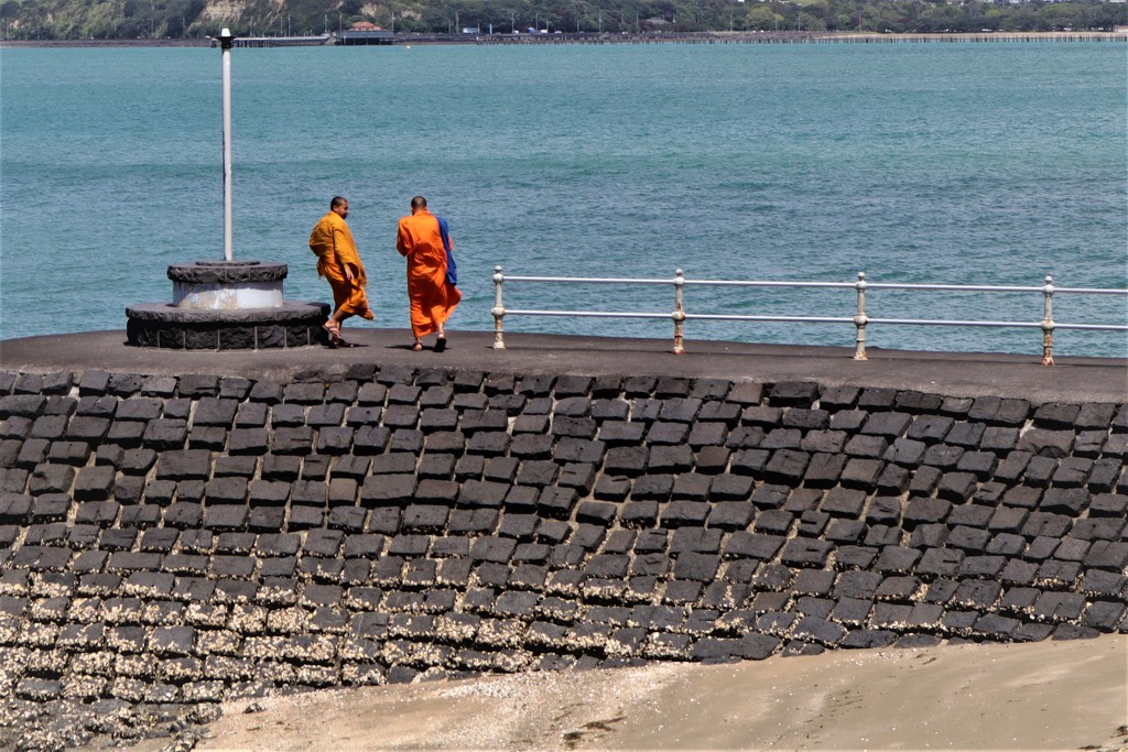 Monks on Devonport by sandradavies