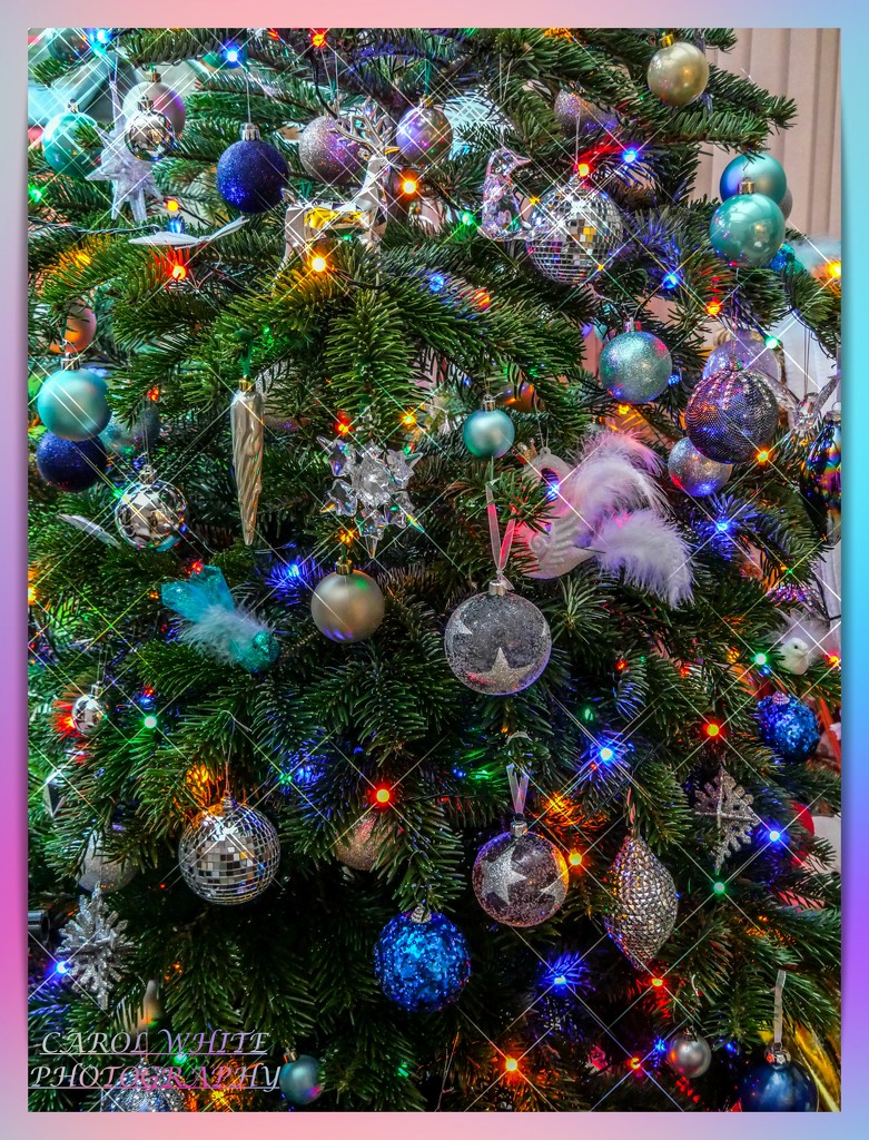 Oh,Christmas Tree by carolmw