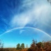 Double Rainbow by mattjcuk