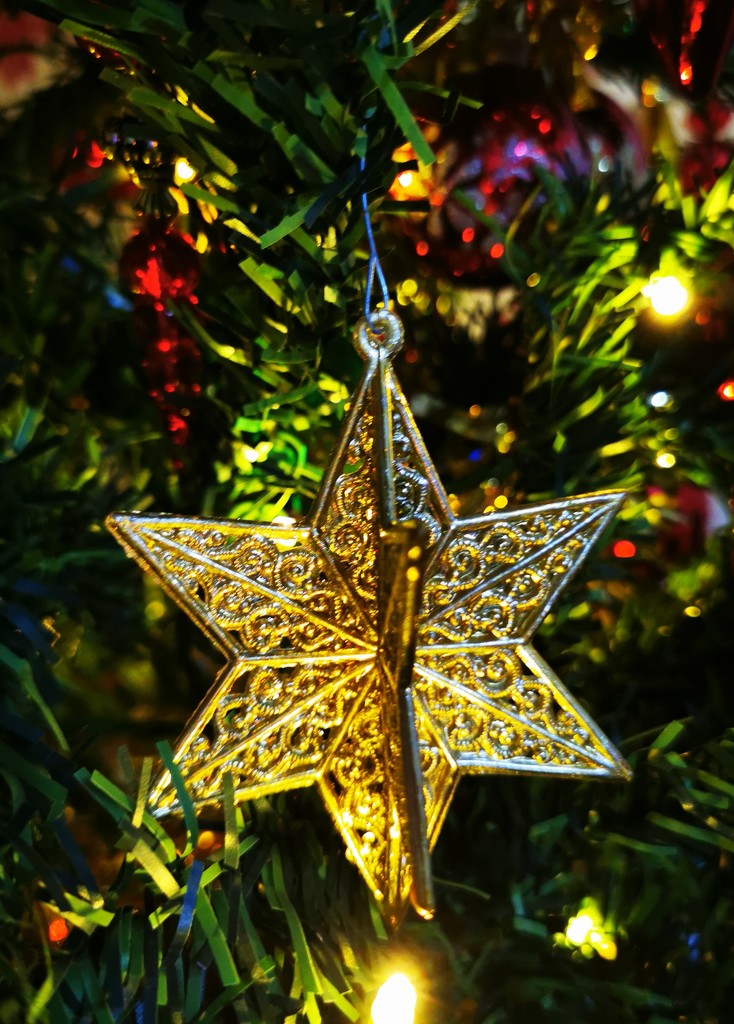 Christmas Star  by plainjaneandnononsense
