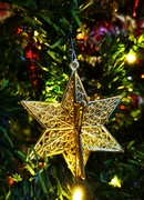 15th Dec 2020 - Christmas Star 