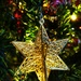 Christmas Star  by plainjaneandnononsense
