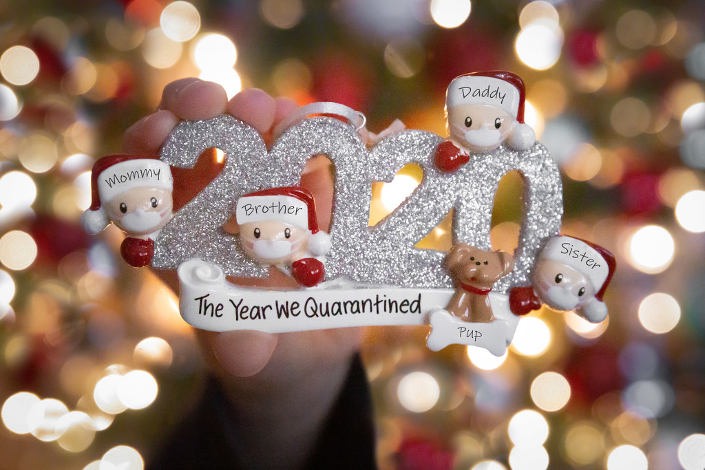 Our 2020 Ornament Arrived by tina_mac