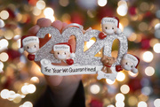 15th Dec 2020 - Our 2020 Ornament Arrived
