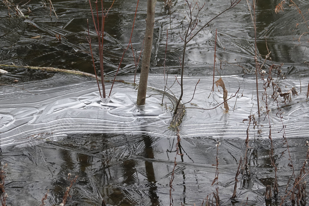 River ice by annepann