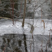 River ice by annepann