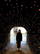 15th Dec 2020 - Light at the end of the Tunnel