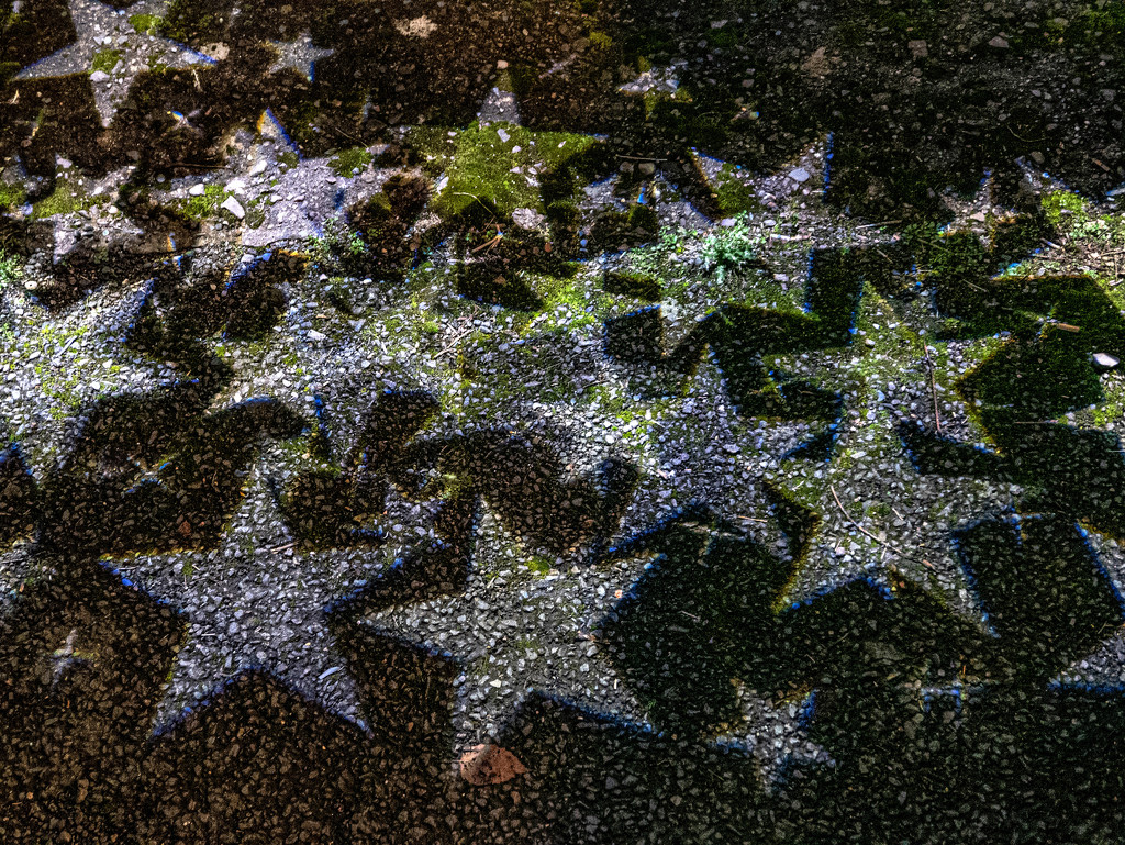 Stars by frequentframes