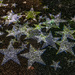 Stars by frequentframes