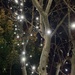 A few of the many lights about by mollw