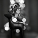 Reindeer Bokeh by phil_howcroft