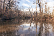 13th Dec 2020 - Oldman's Creek Preserve