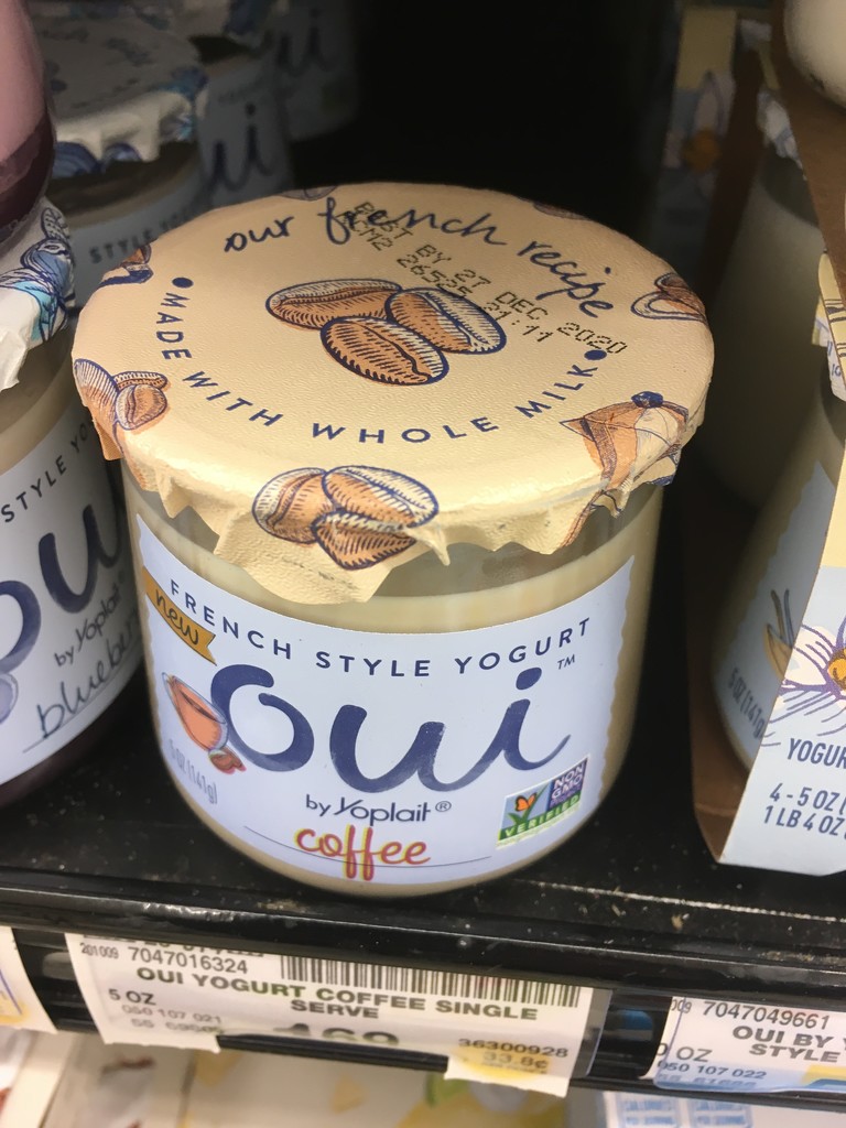 new yogurt flavor! by wiesnerbeth