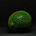 long exposure lime by christophercox