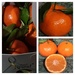 Clementines  by grace55
