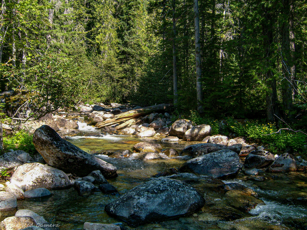 Creek near Priest Lake, ID  by theredcamera