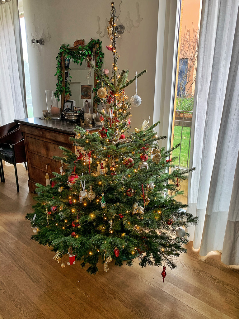 Christmas tree ready !  by cocobella