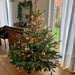 Christmas tree ready !  by cocobella
