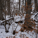 Winter wonderland 1 by larrysphotos