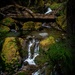 Dosewalips River, Olympic Peninsula by theredcamera