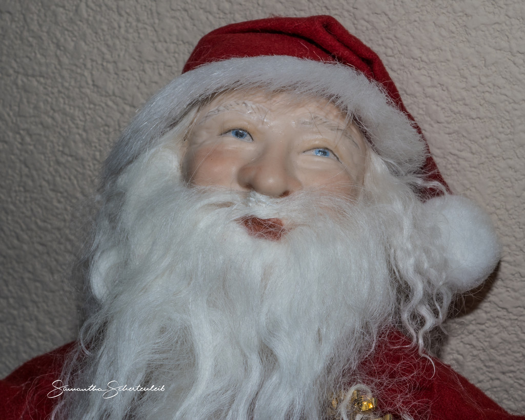 Santa's portrait by sschertenleib