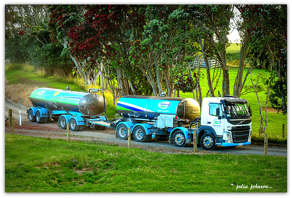 Milk Tanker and Pohutukawa's.. by julzmaioro