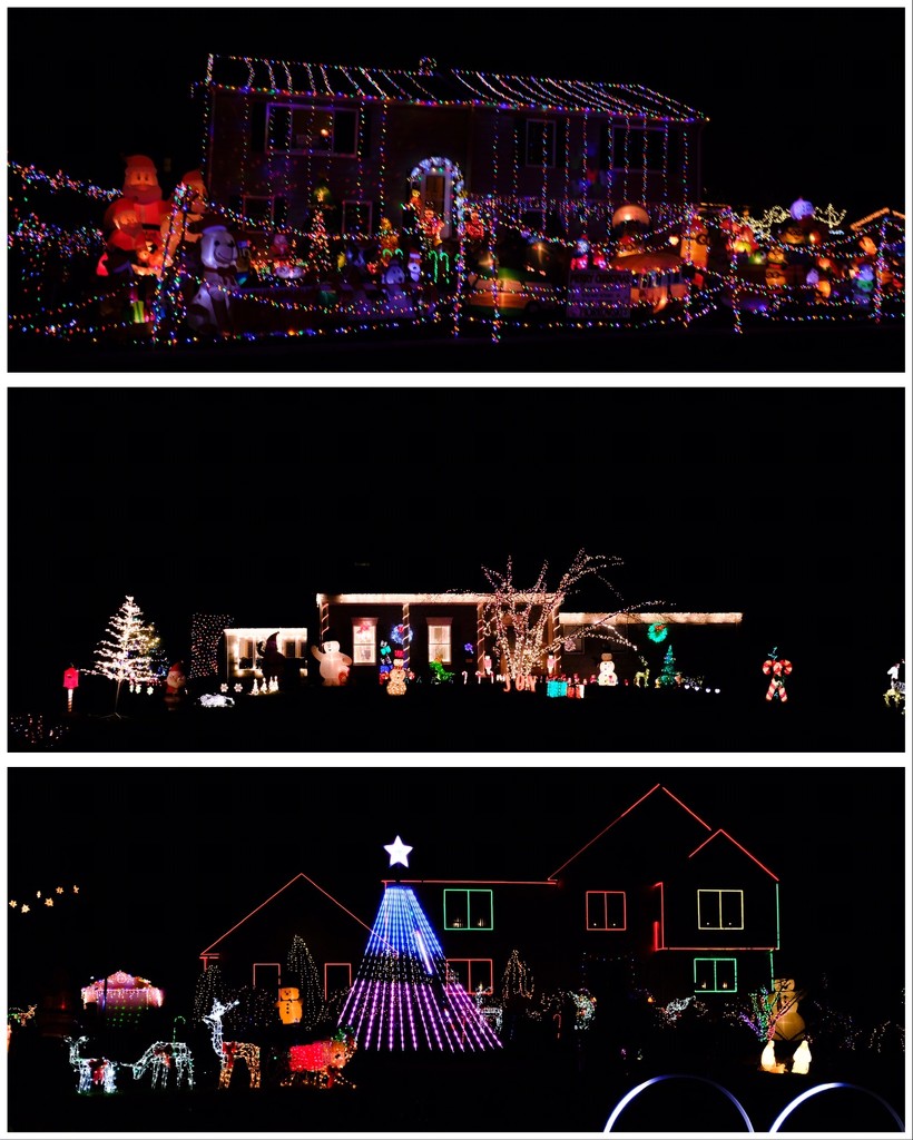 Christmas Lights  by ramr