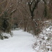Snowy path by jb030958