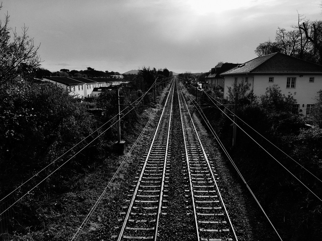 Local train tracks by m2016