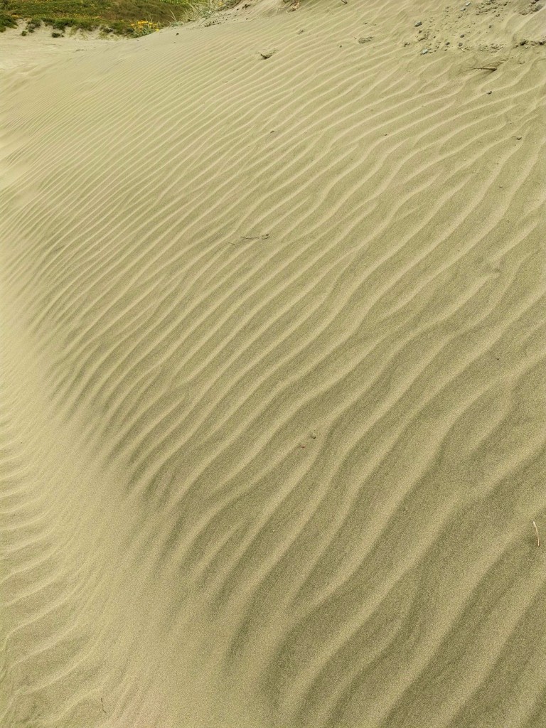 Sand waves by sandradavies