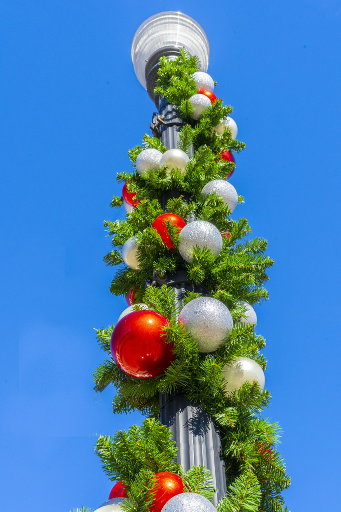 Holiday Lamppost by k9photo