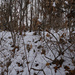 Winter wonderland 2 by larrysphotos