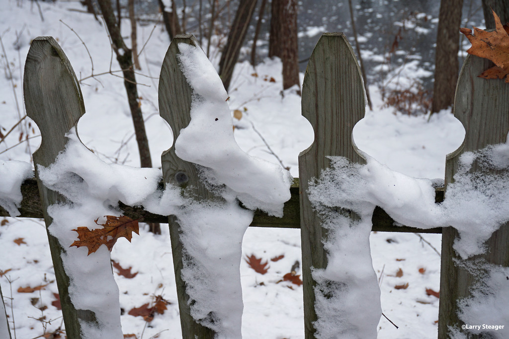 Fence and snow by larrysphotos