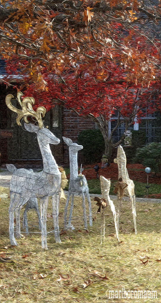 Painted deer family... by marlboromaam