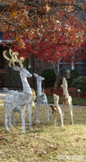 19th Dec 2020 - Painted deer family...