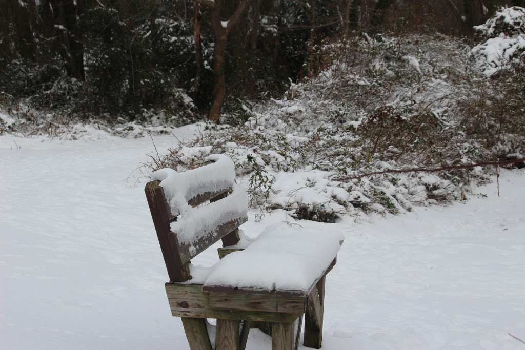 Snow covered bench by jb030958