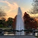 Dusk at Hampton Park, Charleston by congaree